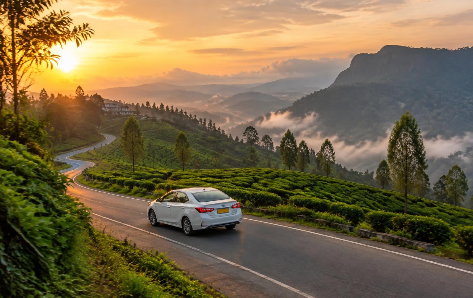 Private taxi driving through tea plantations near Ella, Sri Lanka, at sunset